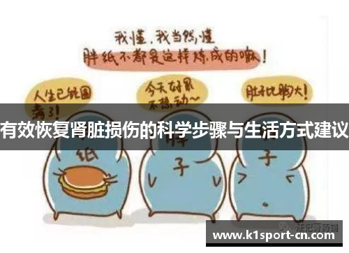 有效恢复肾脏损伤的科学步骤与生活方式建议