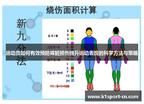 运动员如何有效预防肾脏损伤提升运动表现的科学方法与策略