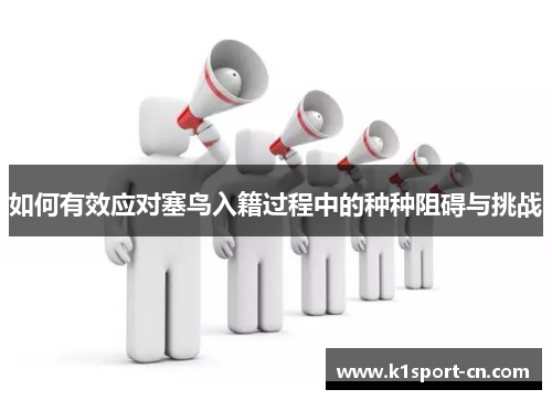 如何有效应对塞鸟入籍过程中的种种阻碍与挑战