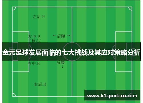 金元足球发展面临的七大挑战及其应对策略分析